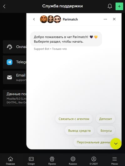 Чат с оператором службы поддержки